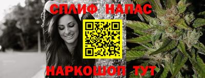 apvp Коммунар