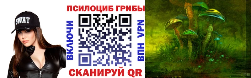 kraken зеркало Клин Галлюциногенные грибы Psilocybe где найти
