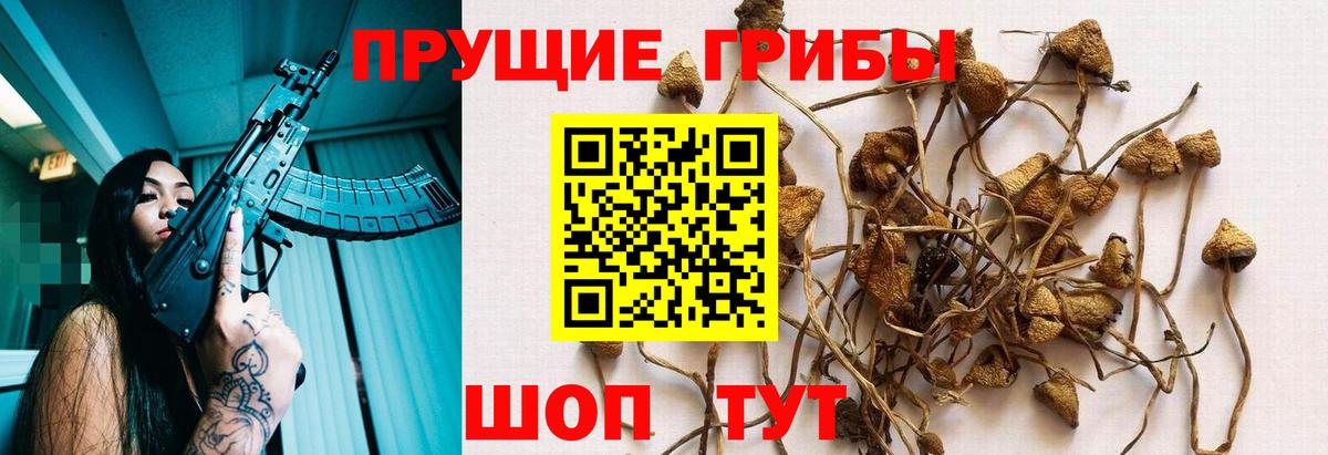 Псилоцибиновые грибы ЛСД  Галлюциногенные грибы Magic Shrooms  Вход с VPN  Клин 