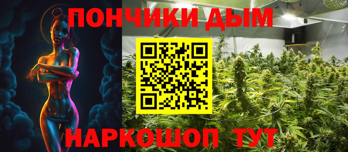 Клин  МАРИХУАНА Amnesia  Канабис планчик  Канабис VHQ  Вход с VPN 